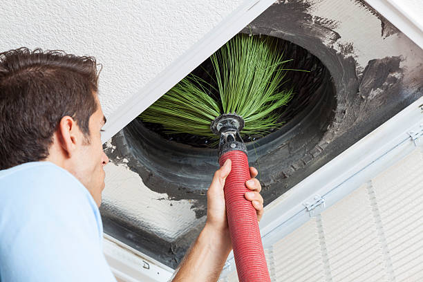 Best Air Duct Mold Removal  in Gladewater, TX